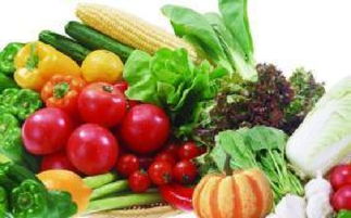 山西科普惠農特色優質農產品展銷會盛大開幕，花卉產業綻放異彩